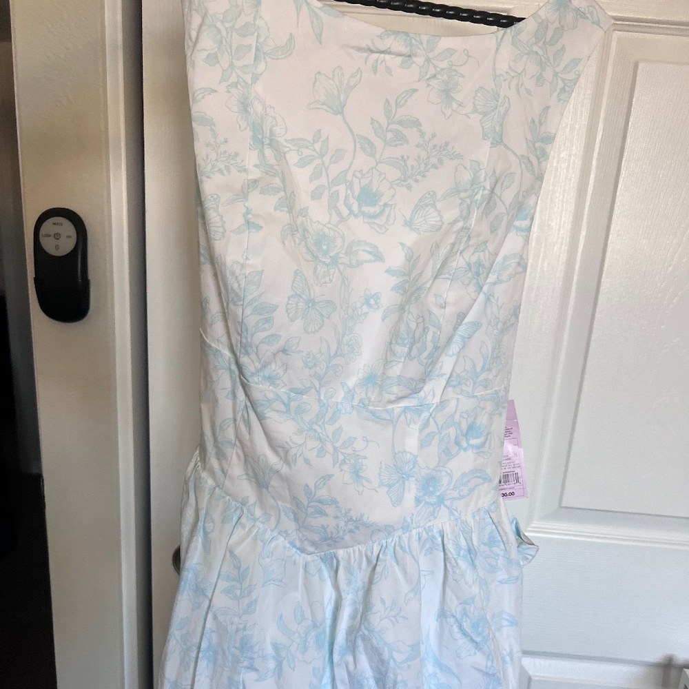 BNWT Blue and white backless sun dress